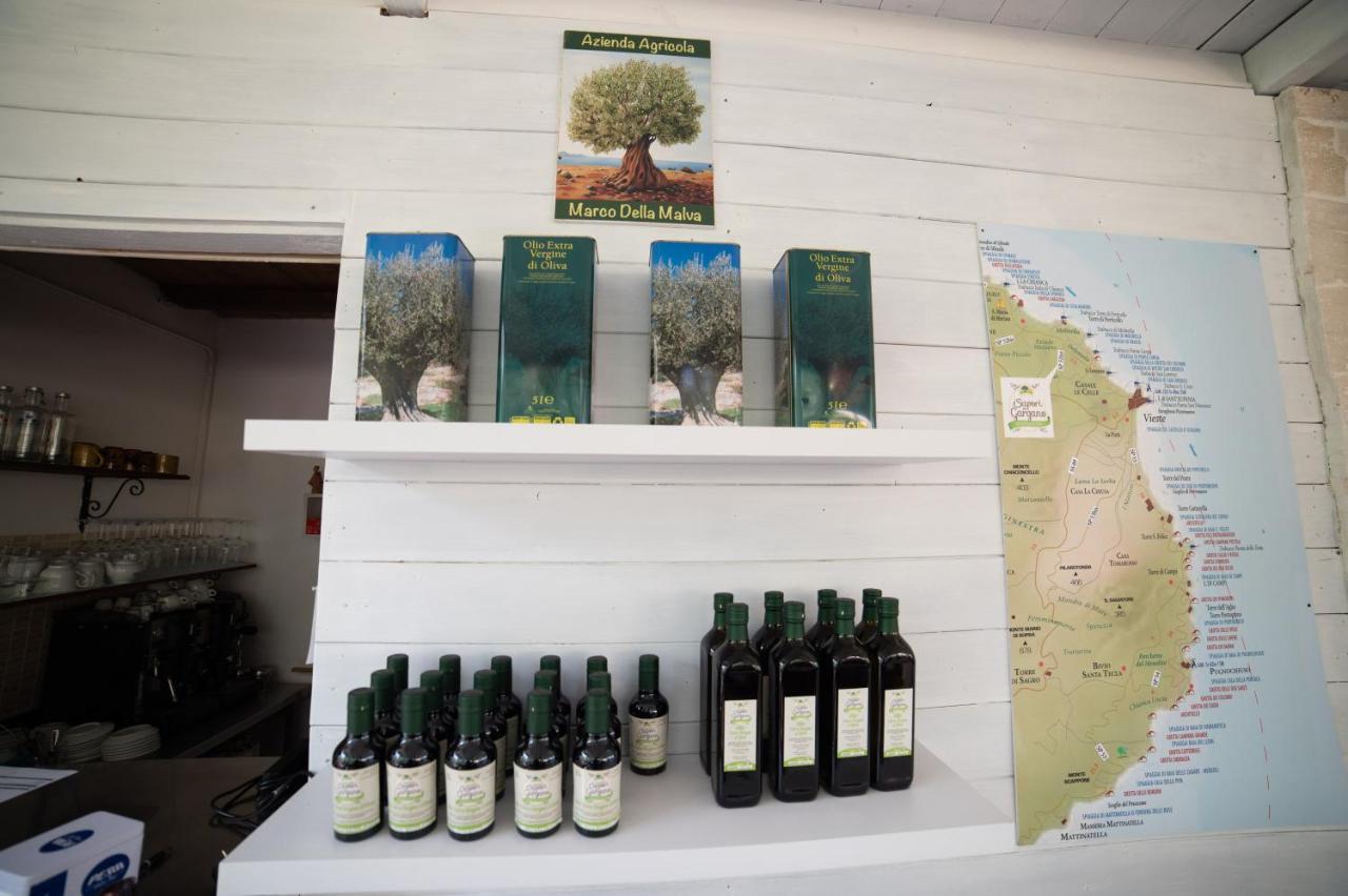 I Sapori Del Gargano Vendégház Vieste Kültér fotó